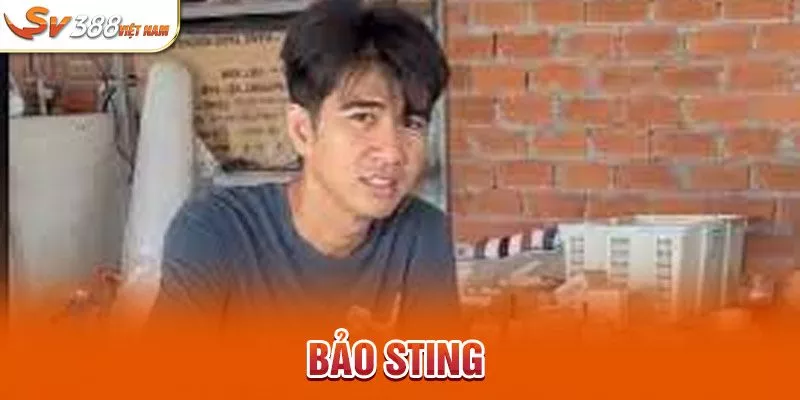 Bảo Sting