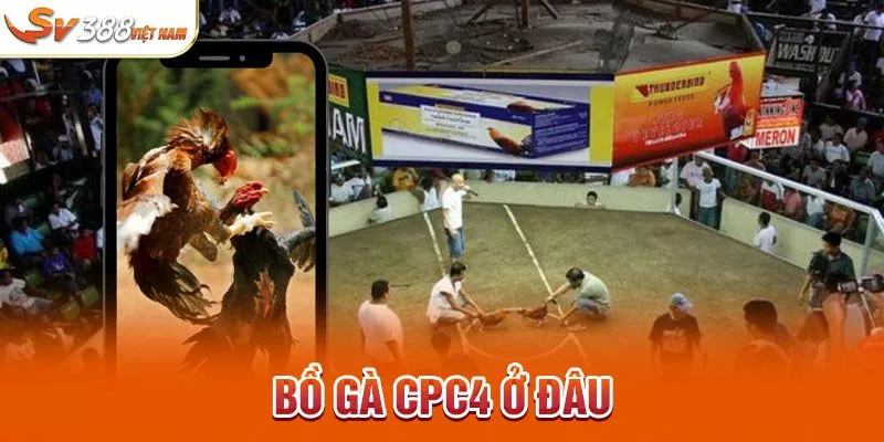 Bồ gà CPC4 ở đâu?