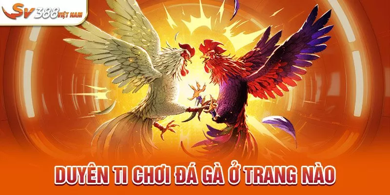 Duyên Ti chơi đá gà ở trang nào