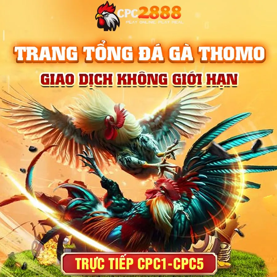 trang tong da ga thomo